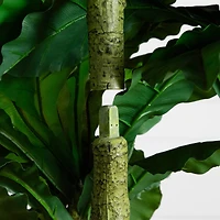 6ft. UV Resistant Artificial Bird Nest Fern Tree (Indoor/Outdoor)