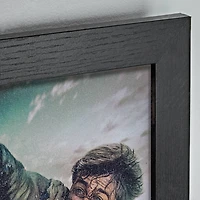 Harry Potter™ Deathly Hallows Wall Art