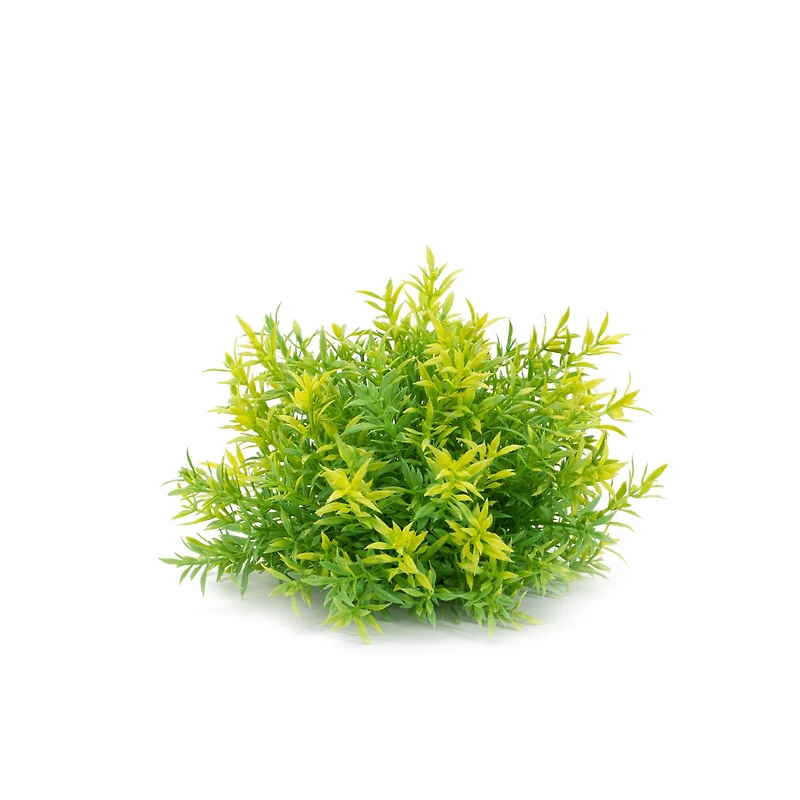 Variegated Mini Leaf Half Orbs