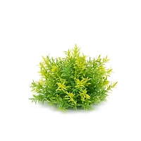 Variegated Mini Leaf Half Orbs