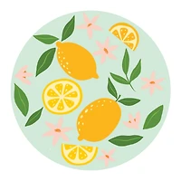 7" Fruit Round Canvas Painting Kit by Craft Smart®