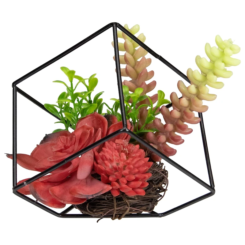 5.5" Succulent Arrangement in Black Metal Wire Frame