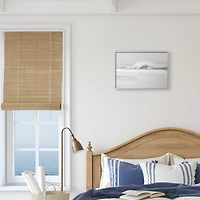 Stupell Industries Waves Crashing onto Beach Black and White in Gray Frame Wall Art