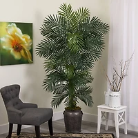 6.5ft. Golden Cane Palm Tree in Metal Planter