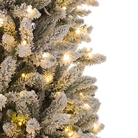 9ft. Pre-Lit Flocked Fir Artificial Christmas Tree, Warm White LED Lights