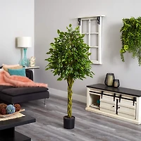 5ft. Potted Woven Trunk Ficus Tree