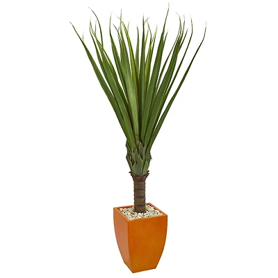 5.5ft. Spiky Agave in Orange Planter