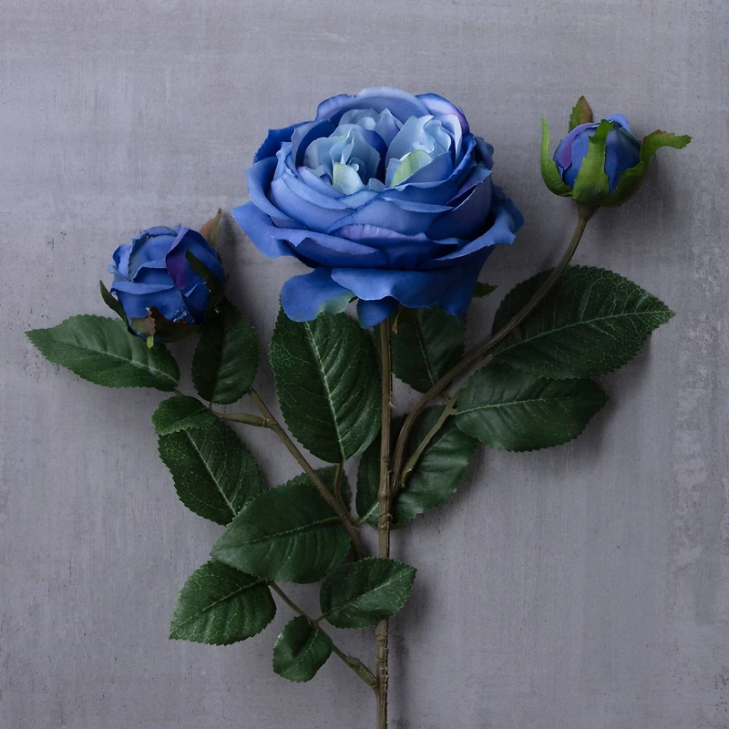 Blue English Rose Stem by Ashland®