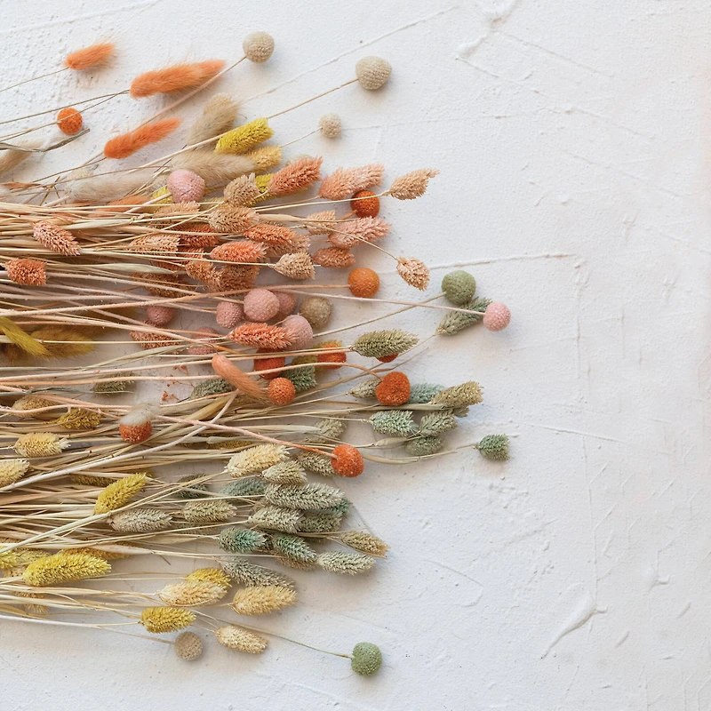 Hello Honey® 19.5" Dried Natural Bunny Tail Grass Bunch, 3ct.