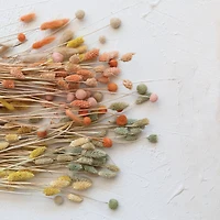 Hello Honey® 19.5" Dried Natural Bunny Tail Grass Bunch, 3ct.