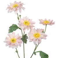 25" Daisy Stem by Ashland