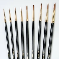 Silver Brush Limited Renaissance®  9 Piece Brush Set