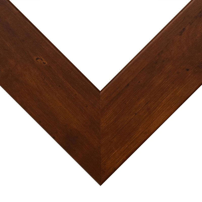 Frame USA Honey Wide Brown Single Image Picture Frame with Mat