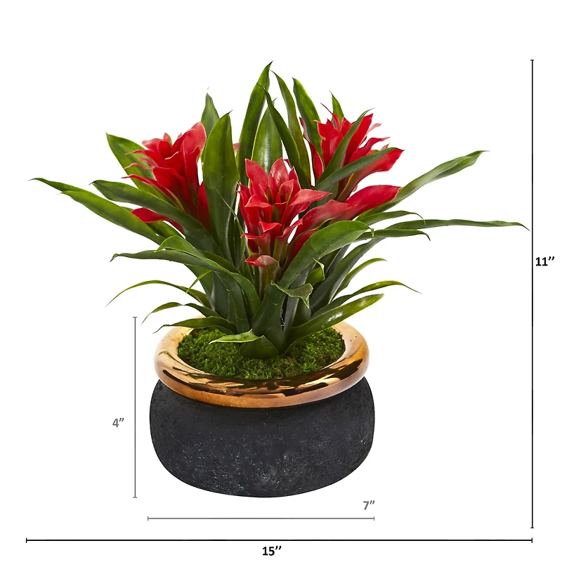 11" Red Bromeliad in Stoneware Planter