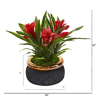11" Red Bromeliad in Stoneware Planter