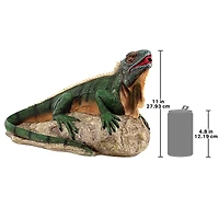 Design Toscano Ike the Iguana Spitter Piped Statue