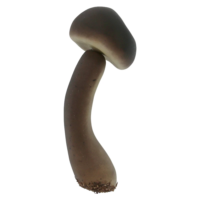 Decorative Mushroom Mix, 5ct. by Ashland®