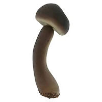 Decorative Mushroom Mix, 5ct. by Ashland®