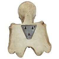 Design Toscano 9.5" Bone Dry Skeleton Bathroom Toilet Paper Holder