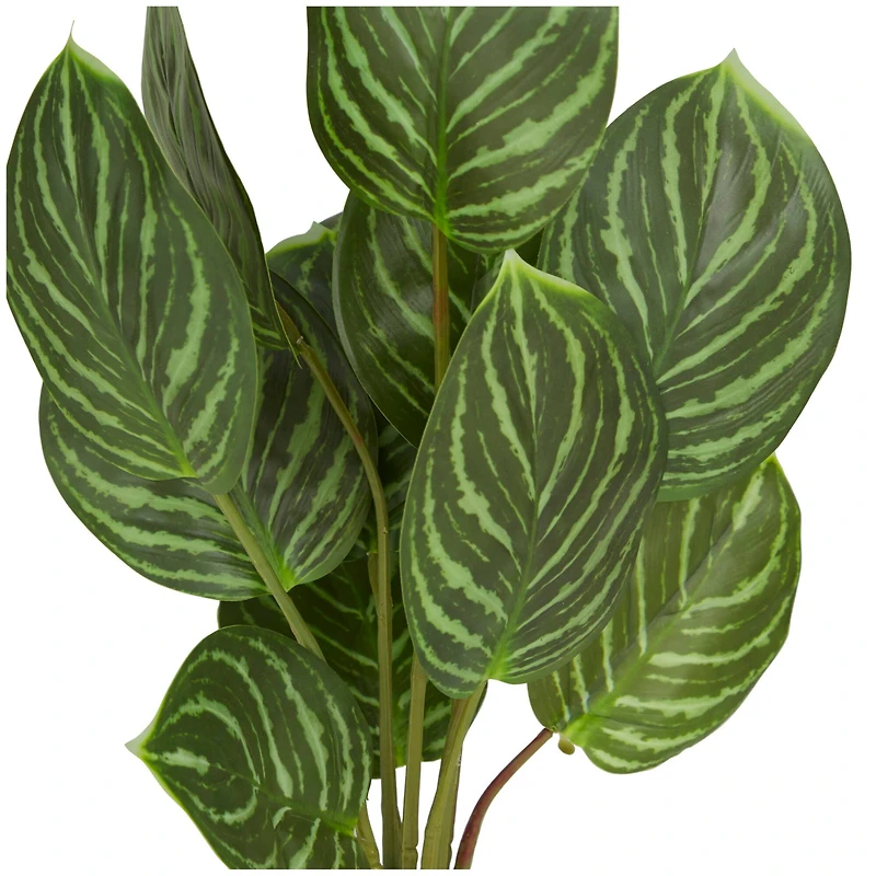 The Novogratz 16" Green Faux Foliage Calathea Artificial Plant in Porcelain Pot
