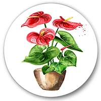 Designart - Anthurium Tailflower Or Flamingo Flower In The Pot