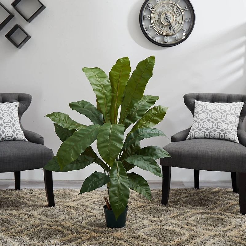 3.5ft. Potted Birds Nest Plant