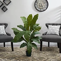 3.5ft. Potted Birds Nest Plant