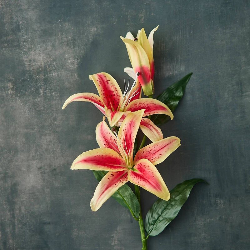 12 Pack: Hot Pink Casablanca Lily Stem by Ashland®
