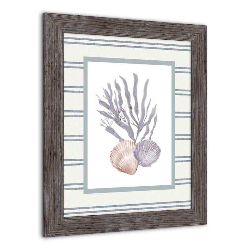 Scallop & Olive Shell Western Framed Print
