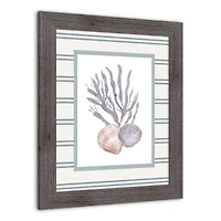 Scallop & Olive Shell Western Framed Print