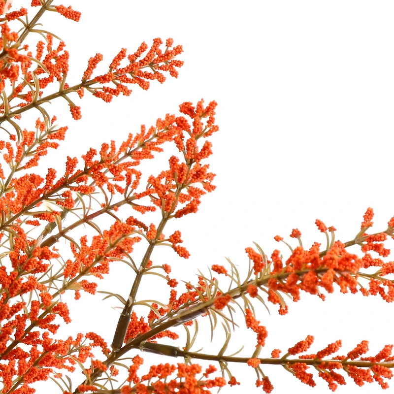 19" Berry Bush by Ashland