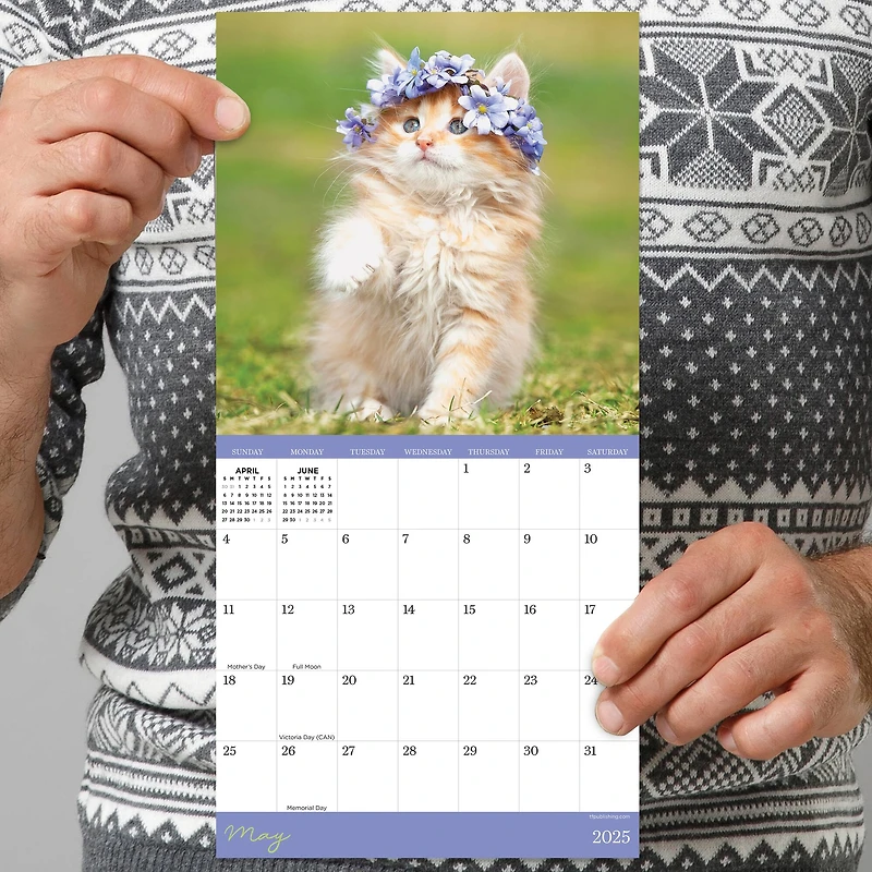 TF Publishing 2025 Kittens Mini Calendar