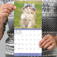 TF Publishing 2025 Kittens Mini Calendar