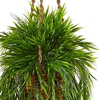 3.5ft. Bamboo Plant Hanging Basket