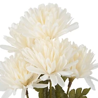 12" Mum Bush by Ashland