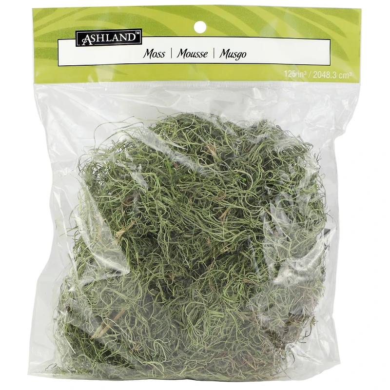 24 Pack: Basil Green Spanish Moss by Ashland®