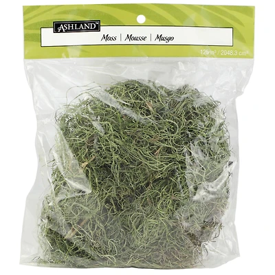 24 Pack: Basil Green Spanish Moss by Ashland®