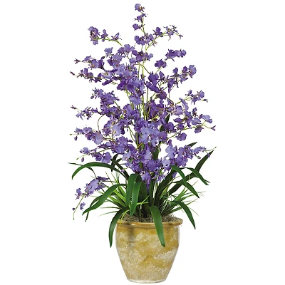 2.5ft. Purple Triple Dancing Lady Orchid Arrangement in Planter