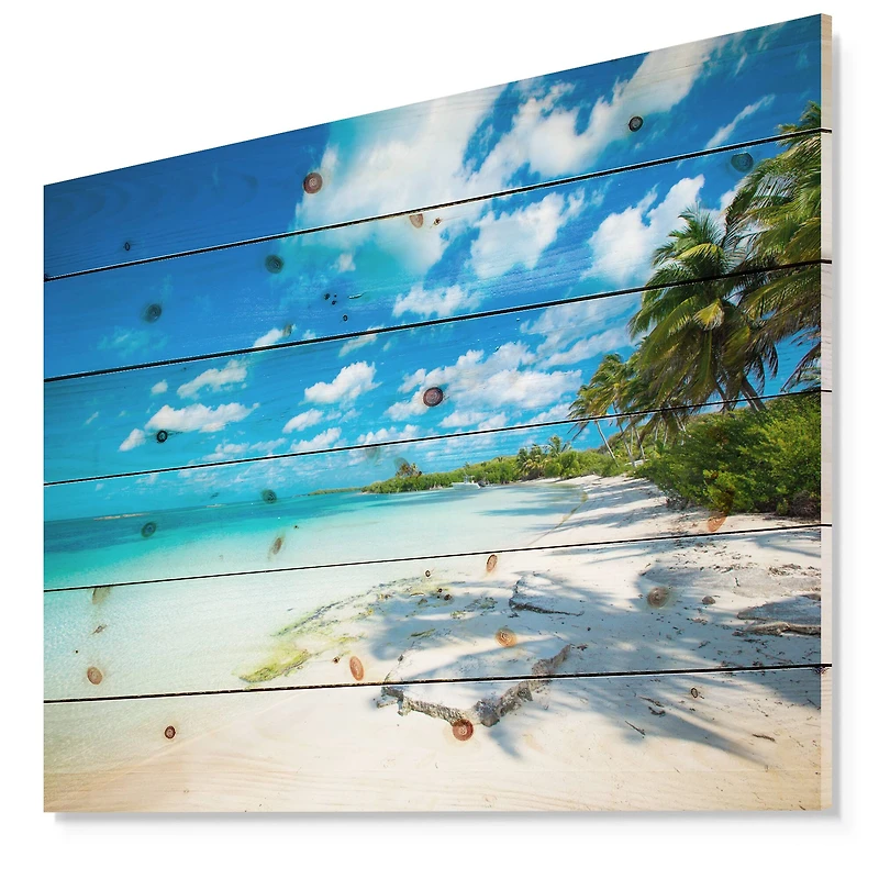 Designart - Tropical Beach with Palm Shadows