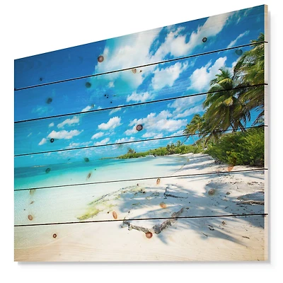 Designart - Tropical Beach with Palm Shadows