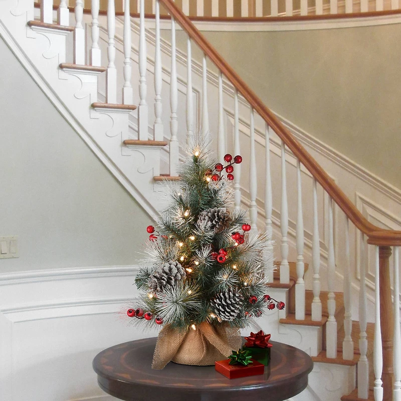 2ft. Pre-Lit Snowy Glacier Pine Artificial Christmas Tree, Warm White LED Lights