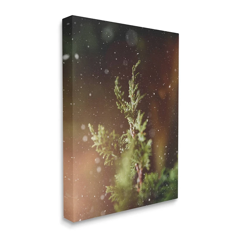 Stupell Industries Winter Snowfall Night Pine Tree Canvas Wall Art