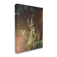 Stupell Industries Winter Snowfall Night Pine Tree Canvas Wall Art