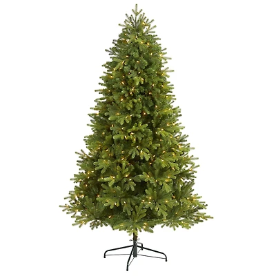 6.5ft. Pre-Lit Washington Fir Artificial Christmas Tree, Clear LED Lights