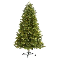 6.5ft. Pre-Lit Washington Fir Artificial Christmas Tree, Clear LED Lights