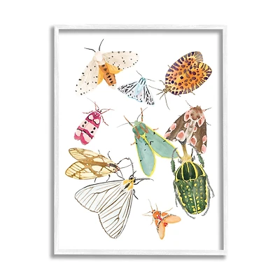 Stupell Industries Winged Insect Group Tropical Color Bugs in White Frame Wall Art