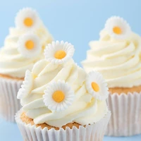 PME Cake Sweet Street® White Daisy Icing Decorations