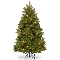 5ft. Pre-Lit Newberry® Spruce Artificial Christmas Tree, Clear Lights