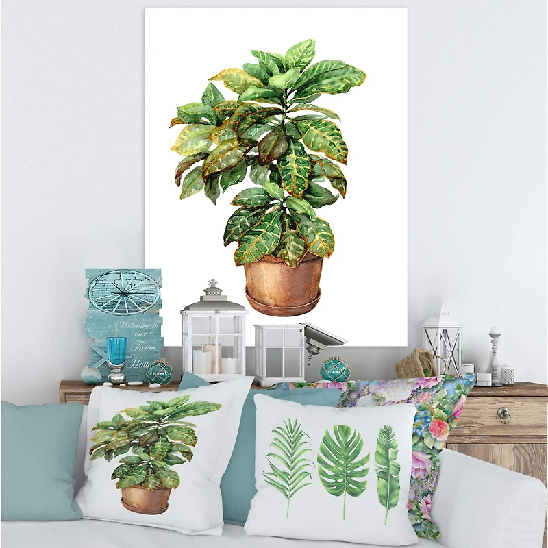 Designart - Croton In Clay Flowerpot