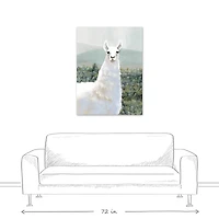 White Llama in Pasture 30" x 40" Canvas Wall Art